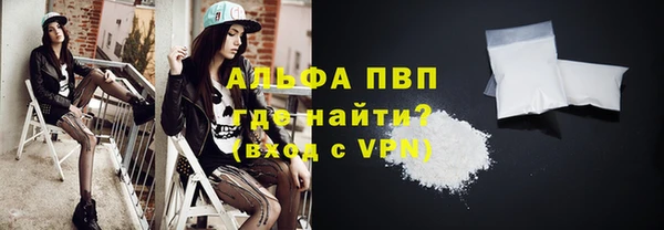 стаф Баксан