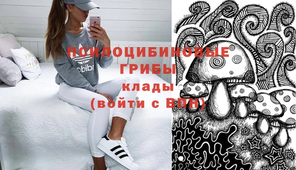 стаф Баксан