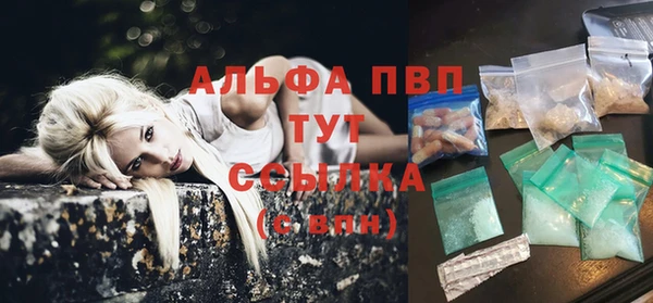 стаф Баксан